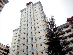Blk 274 Keat Hong Tembusu (Choa Chu Kang), HDB Executive #558838681